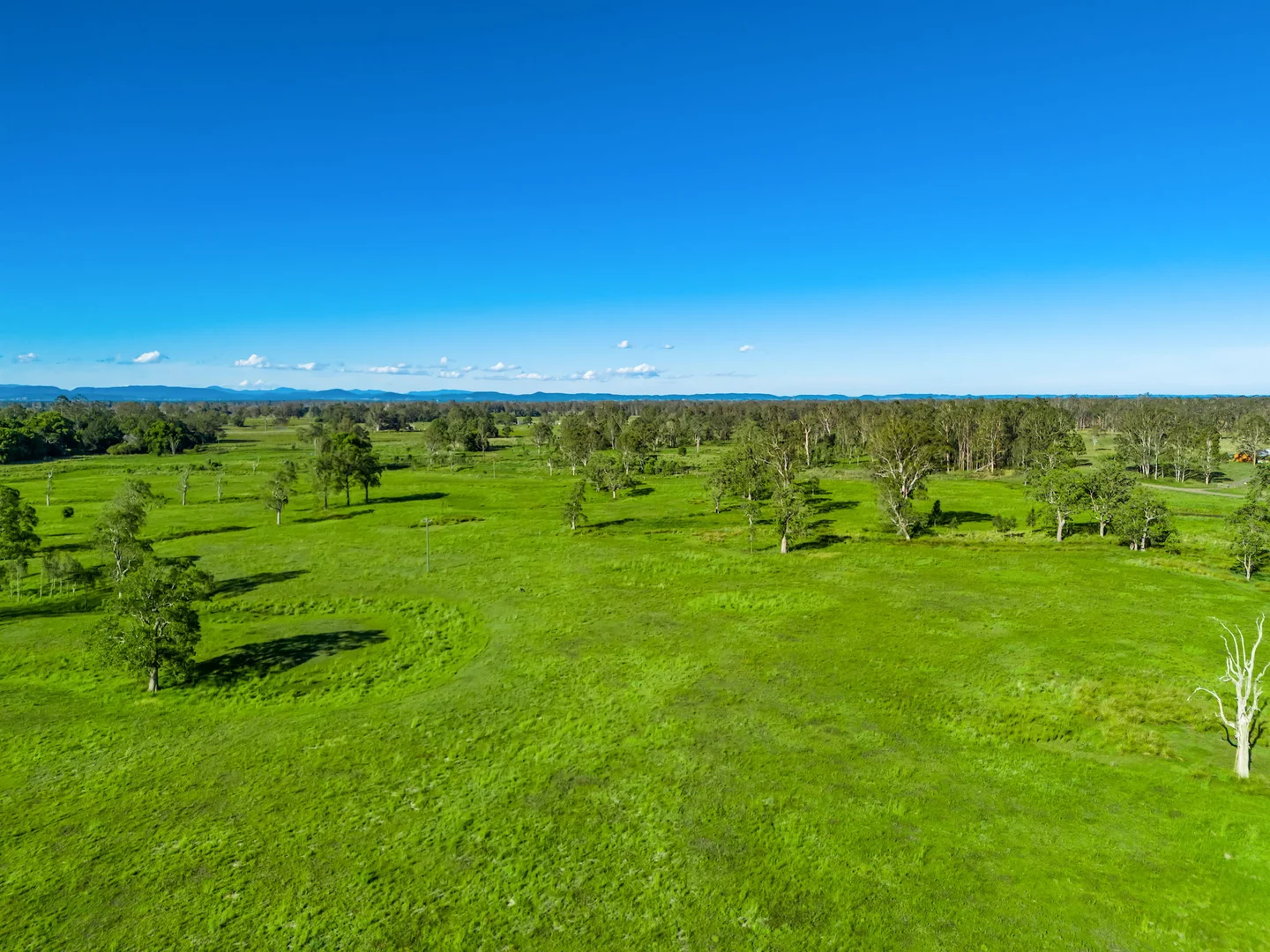 Additional image 9 of 160 Busbys Flat Road, Leeville NSW 2470