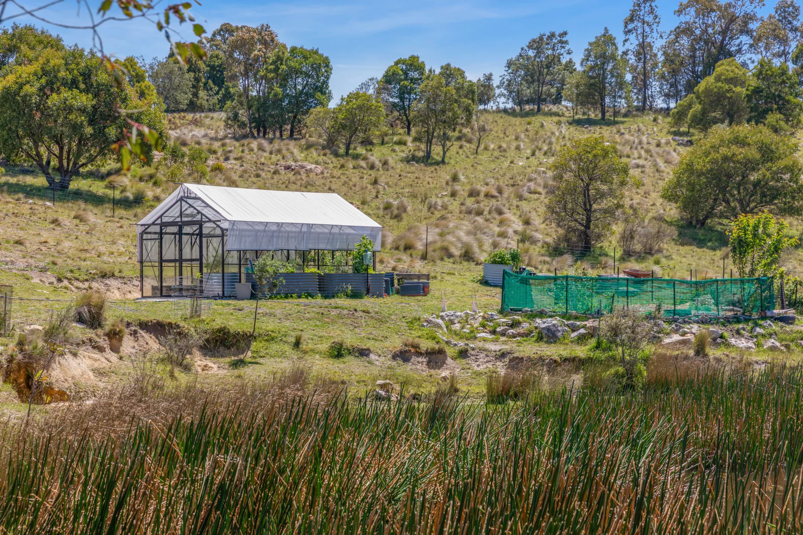 Additional image 2 of 363 Sheepstation Forest Road, Gingkin NSW 2787