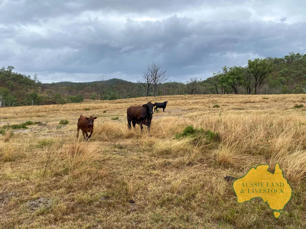 Additional image 16 of 59 MUNGY ROAD, Mungy QLD 4671