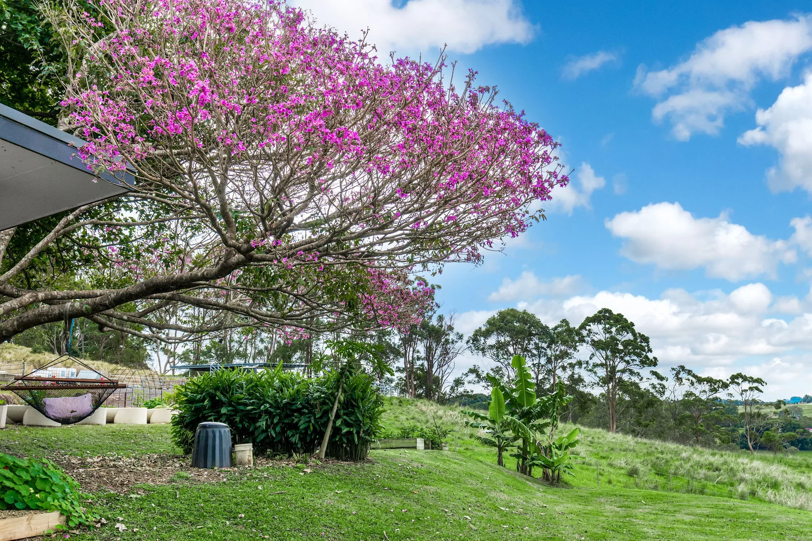 Additional image 34 of 1368 Wyrallah Road, Wyrallah NSW 2480
