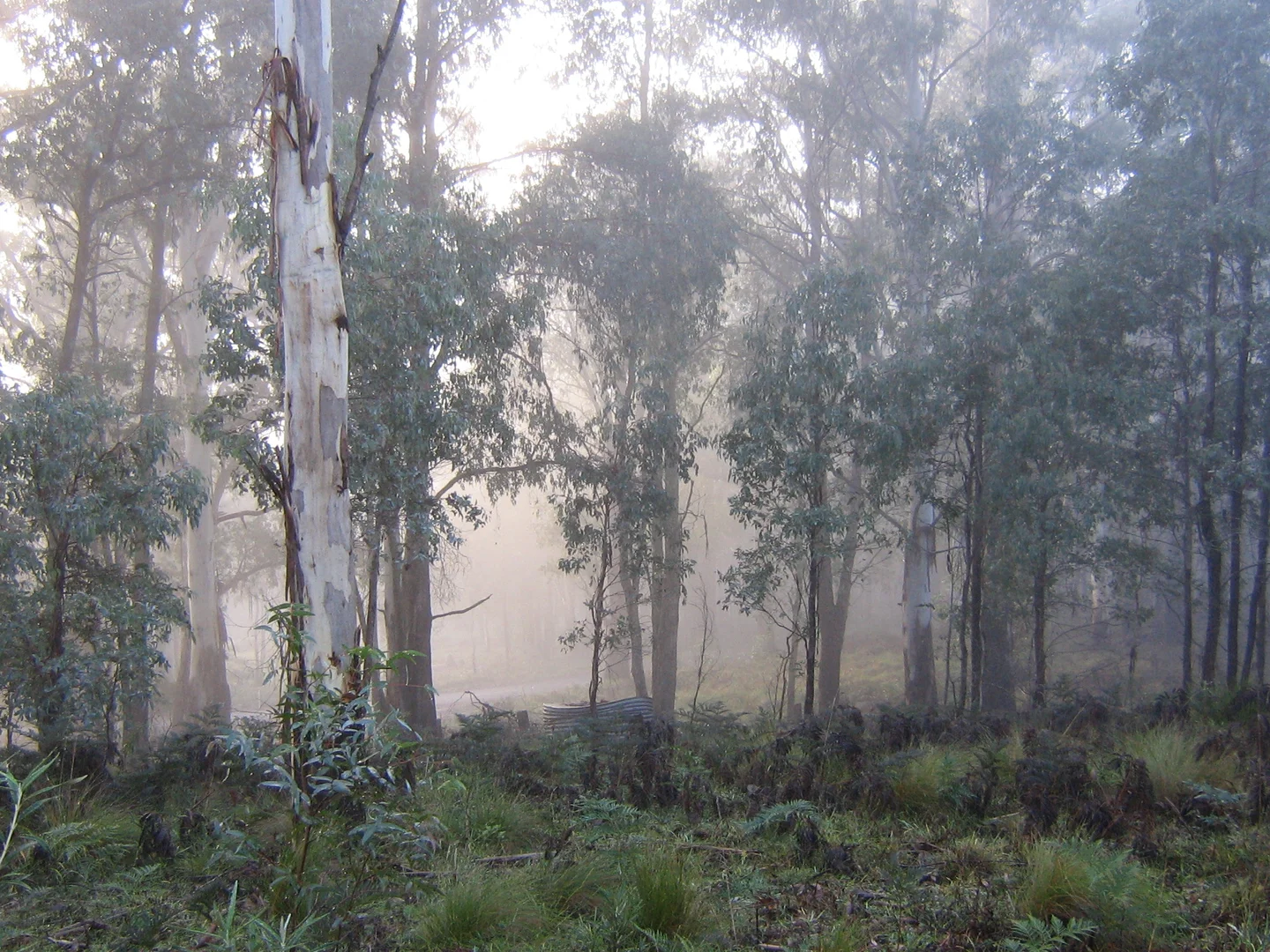 Additional image 3 of 9051 Bonang Road, Bonang VIC 3888