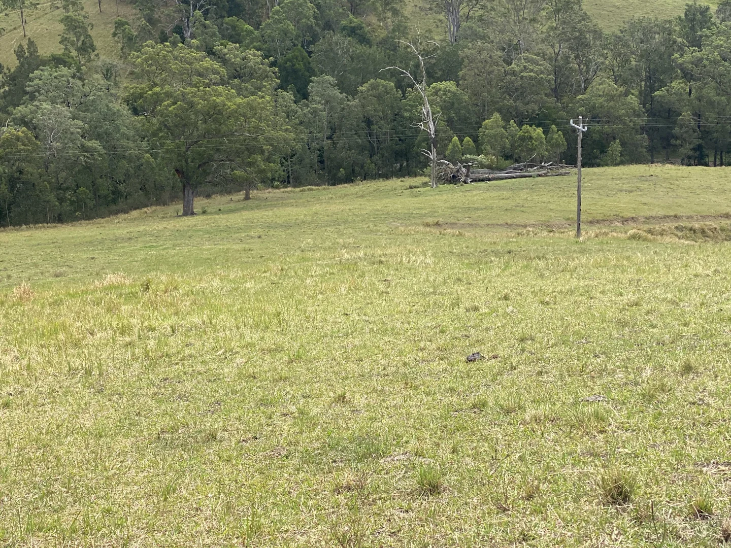 Additional image 4 of 343 Berrico Creek Road, Gloucester NSW 2422