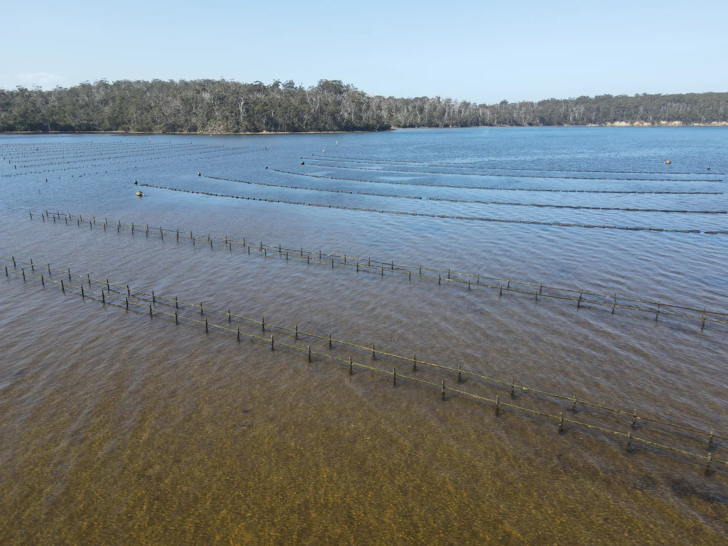 Additional image 6 of 100 Cockle Creek Road, Recherche TAS 7109