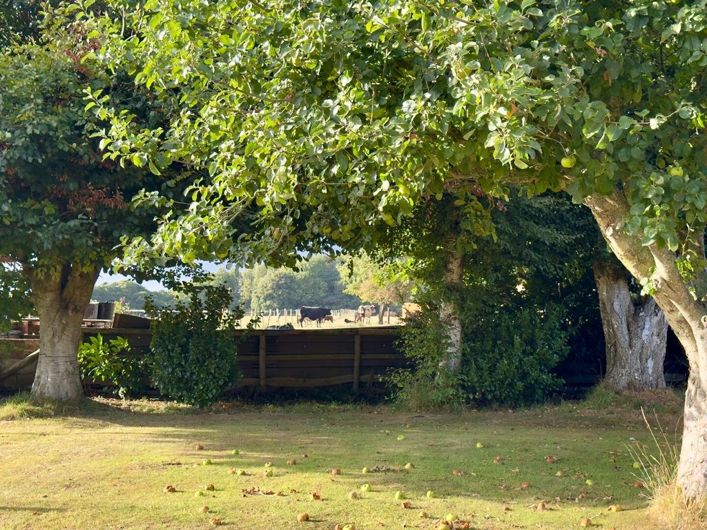 Additional image 14 of 3 bed farmhouse to rentHigh Street, Yeovil BA22