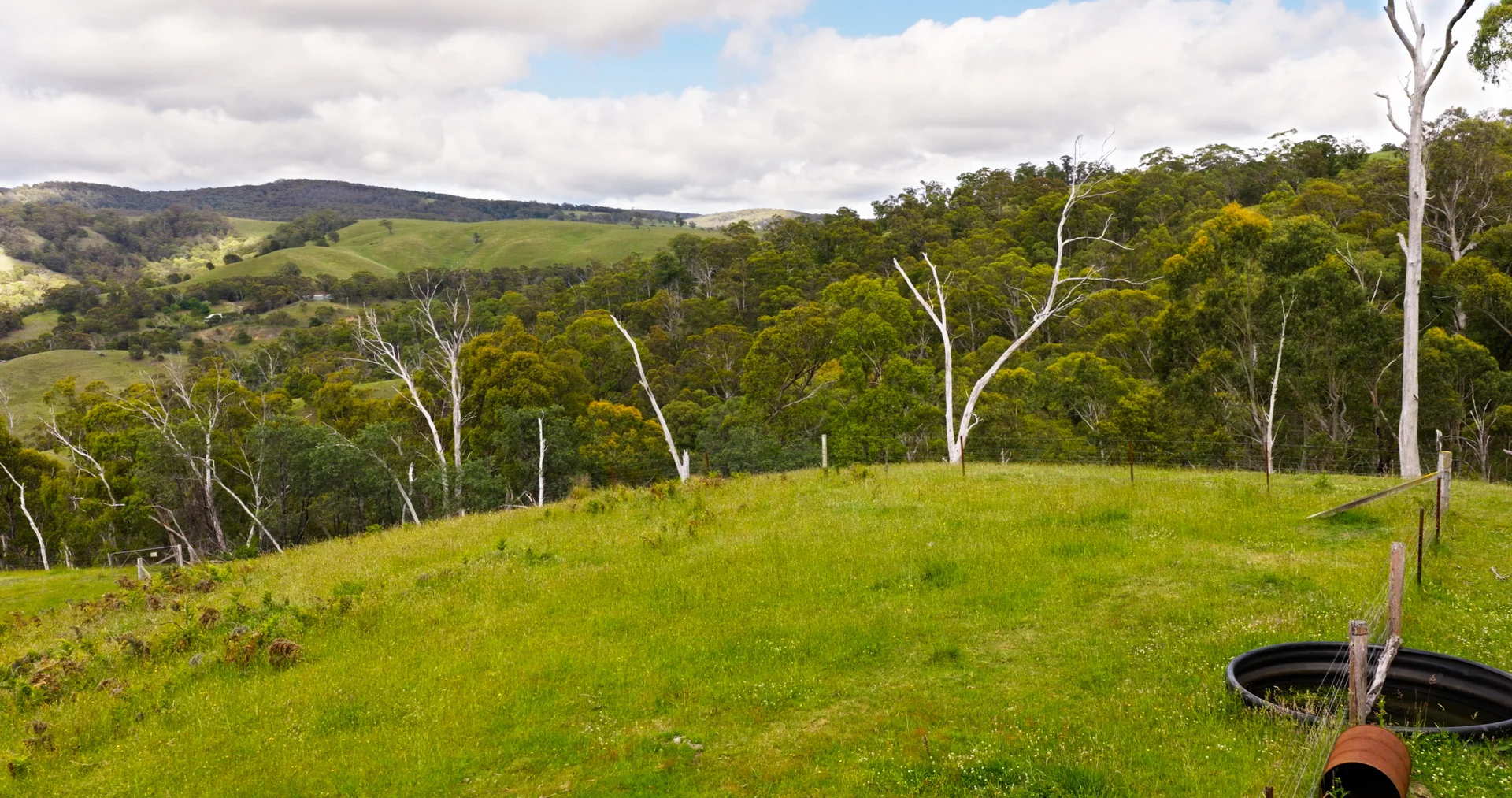 Additional image 14 of Lot 3 - 289 Tongio Gap Road, Tongio VIC 3896