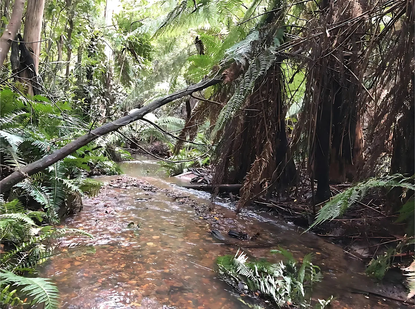 Additional image 5 of 355 Ninks Road, St Andrews VIC 3761