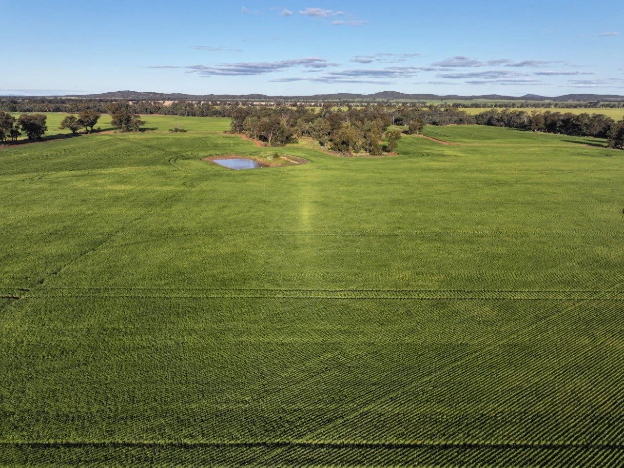 Additional image 8 of Part Westbury Goldfields Way, Barmedman NSW 2668