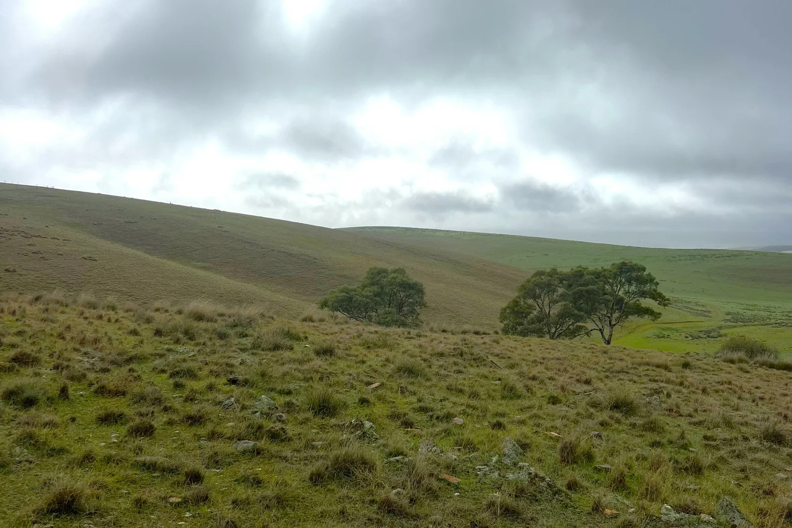 Additional image 19 of 'Broughton Valley' 1 Euromina Road, Broughton River Valley SA 5454