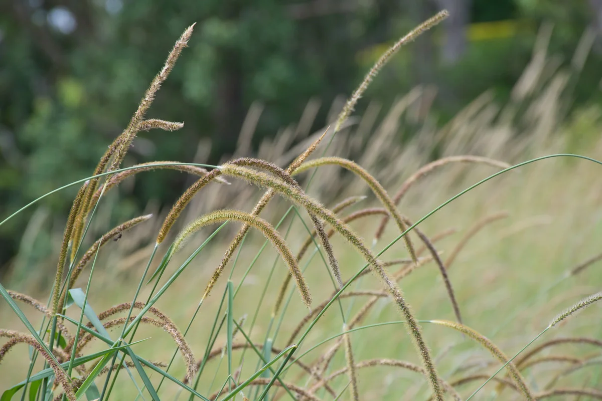 Additional image 19 of 148 Newtons Road, Eden Creek NSW 2474