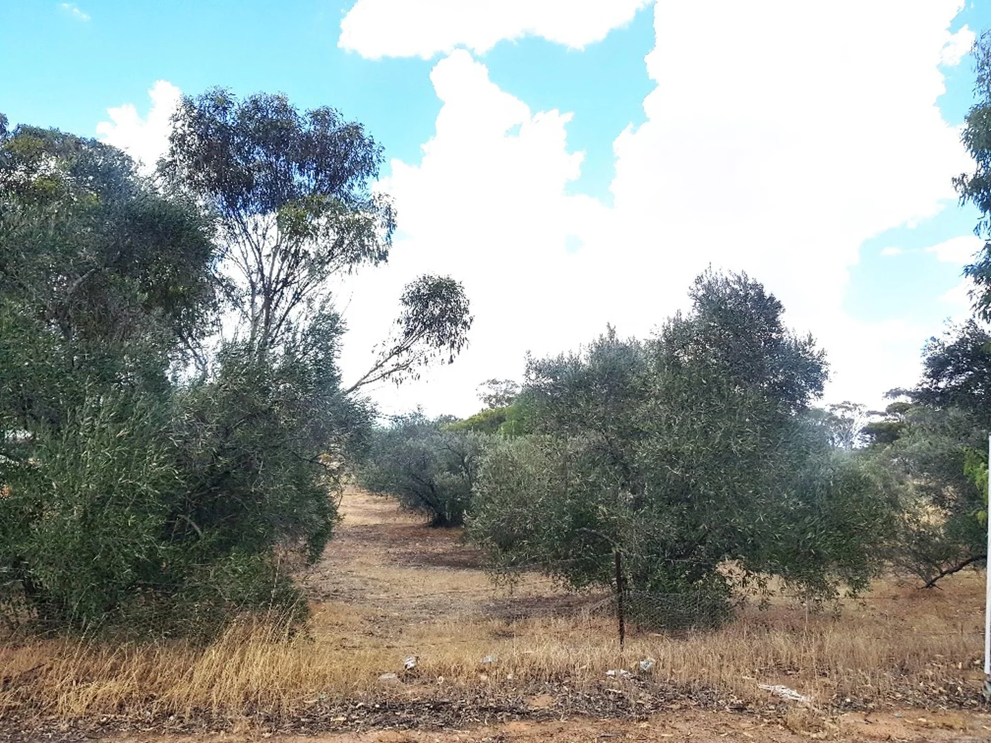 Additional image 6 of 70 Ranfurly Street, Moora WA 6510