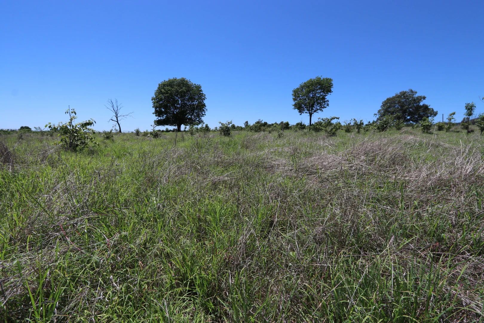 Additional image 26 of 260 Shannen Road, Dalma QLD 4702