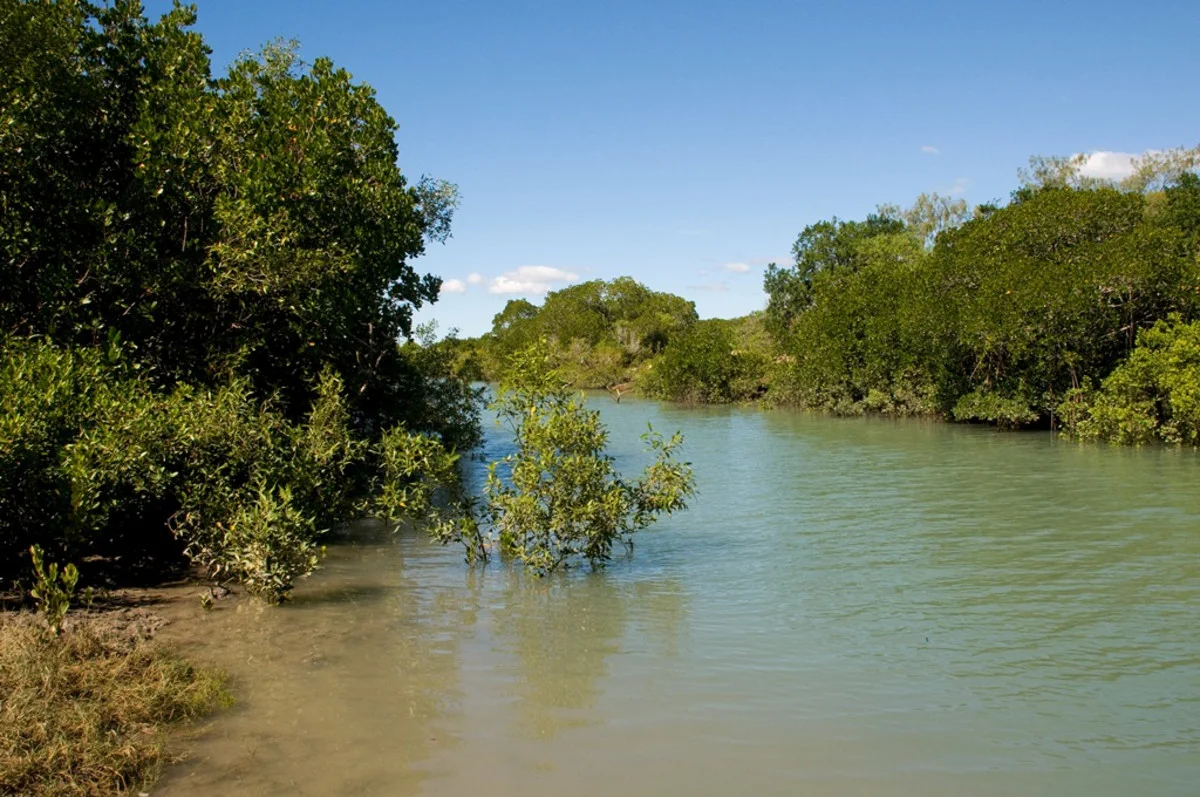 Additional image 3 of Manon Street, Armstrong Beach QLD 4737