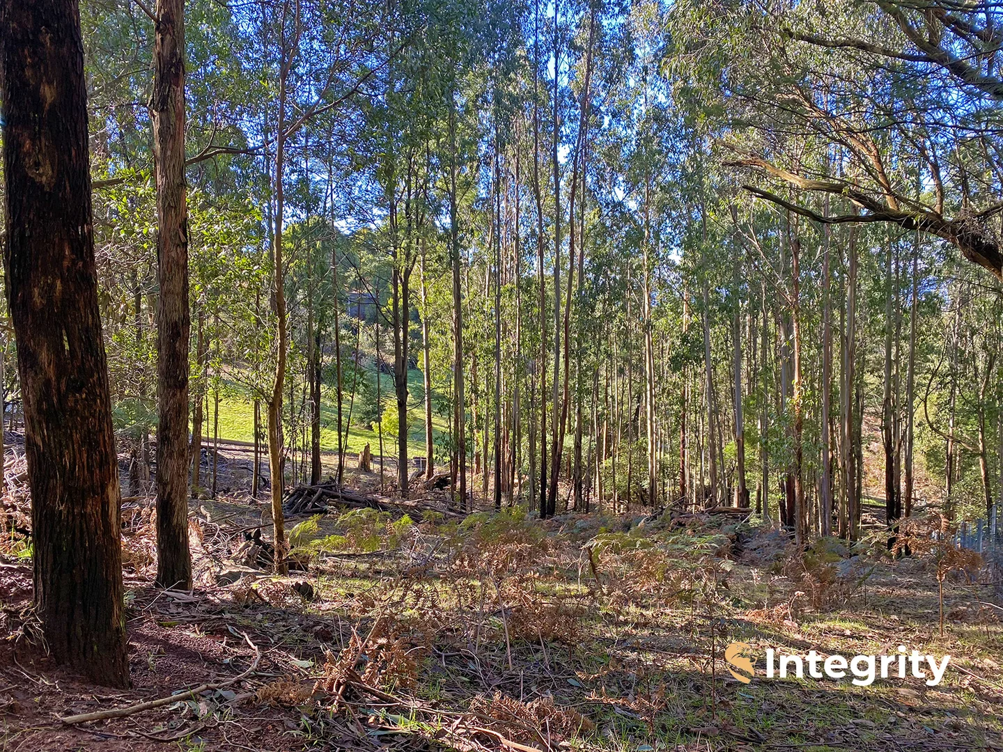 Additional image 4 of 47 Bald Spur Road, Kinglake VIC 3763