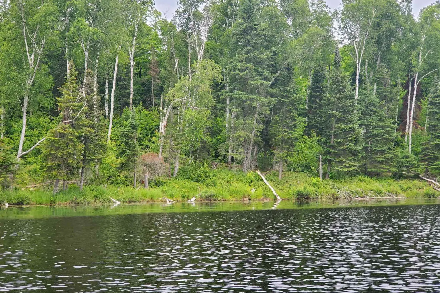 Additional image 3 of Pt4,5,6 Cadden Lake
