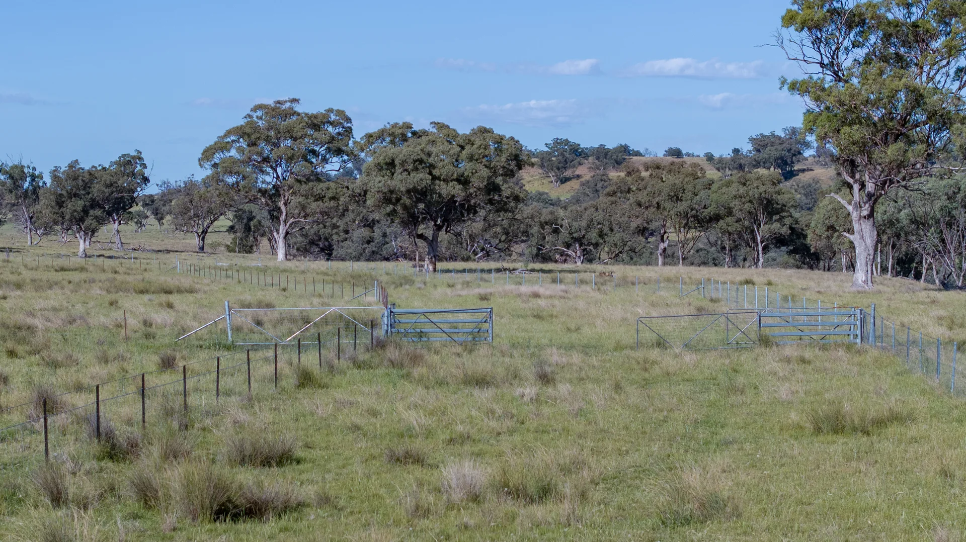 Additional image 23 of TIMBYDALE NEWELL HIGHWAY, Coonabarabran NSW 2357