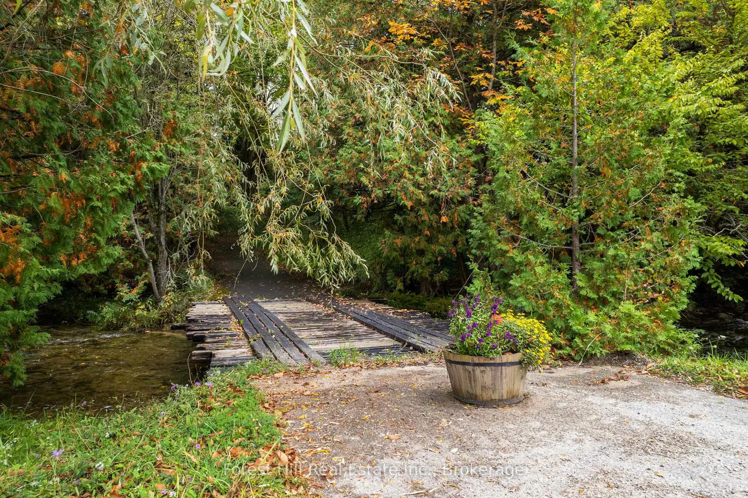 Additional image 13 of 403288 Grey Road 4