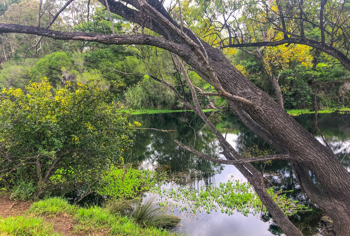 Additional image 38 of 64 Yowaka River Road, Greigs Flat NSW 2549