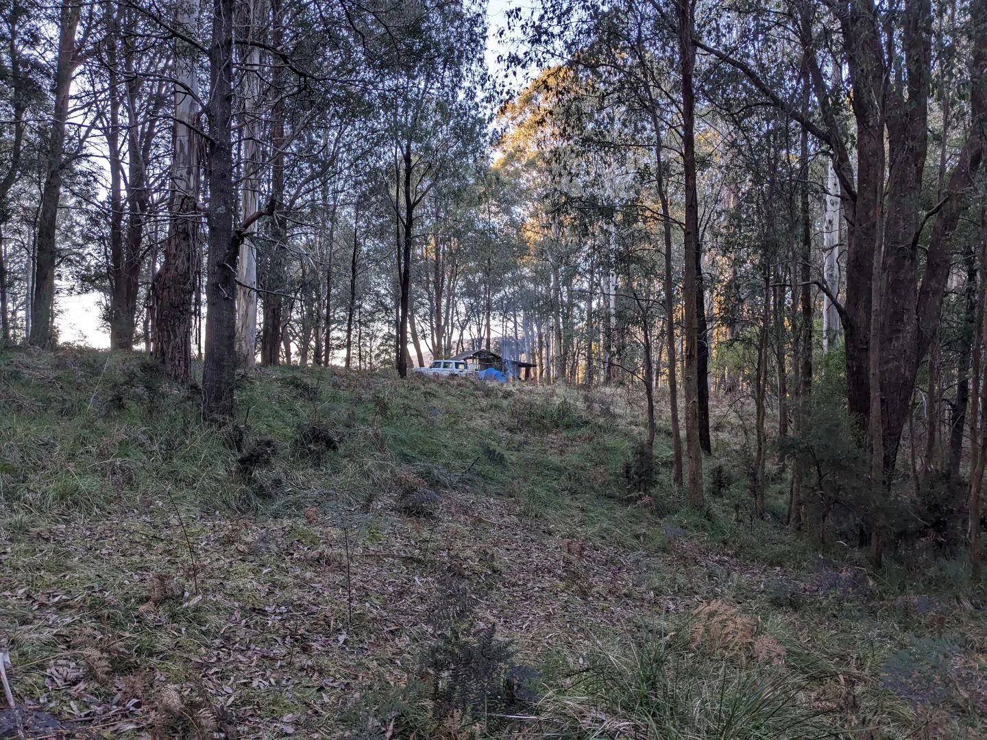 Additional image 2 of 9051 Bonang Road, Bonang VIC 3888