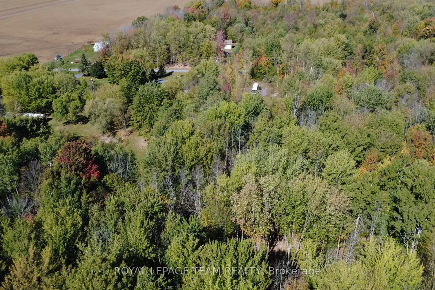 Additional image 10 of 10586 Seibert Road