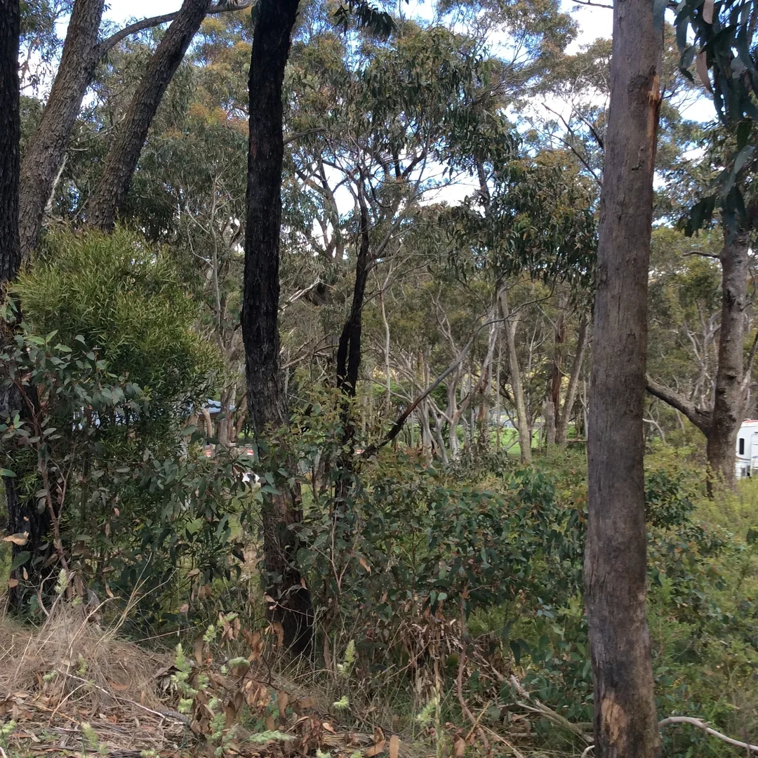 Additional image 2 of Lot 10/44 Godson Avenue, Blackheath NSW 2785