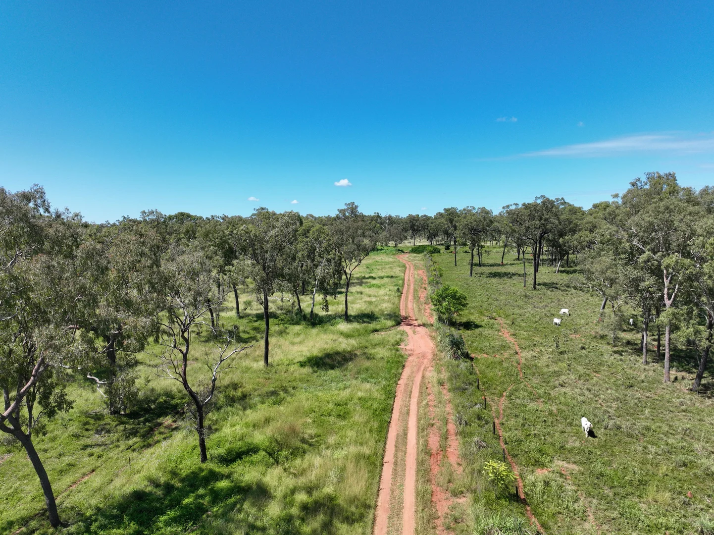 Additional image 10 of "Granite Springs" 22779 Kennedy Highway, Mount Garnet QLD 4872