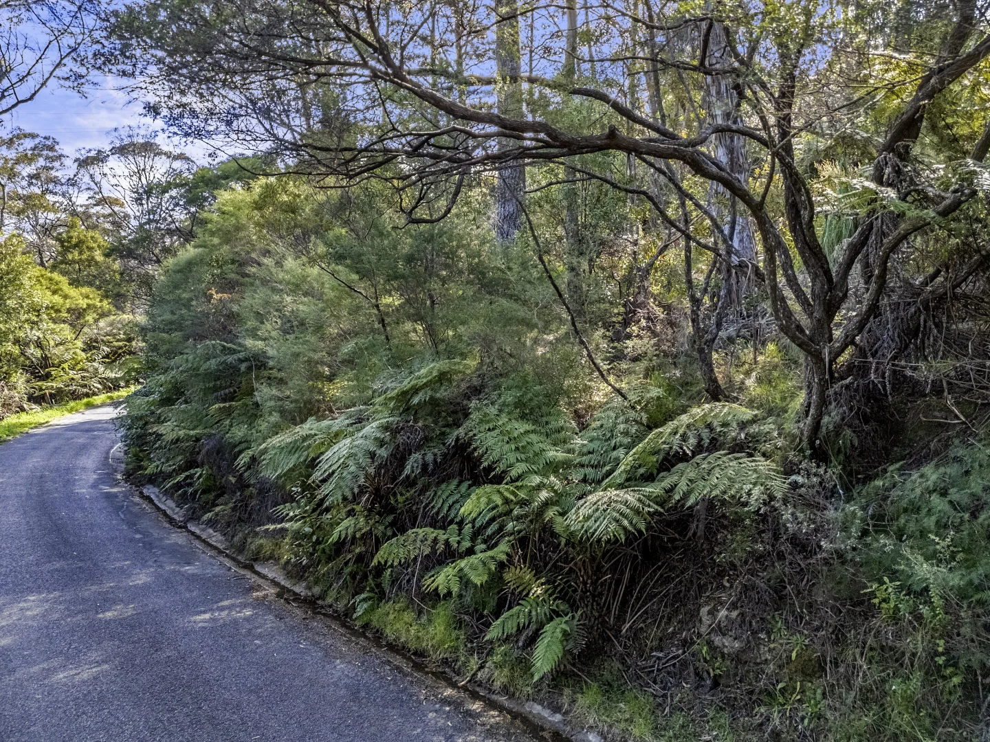 Additional image 3 of 51 Dell Street, Blackheath NSW 2785