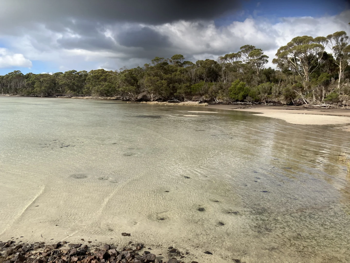 Additional image 26 of 129 & 131 Bens Hill Road, Montagu TAS 7330