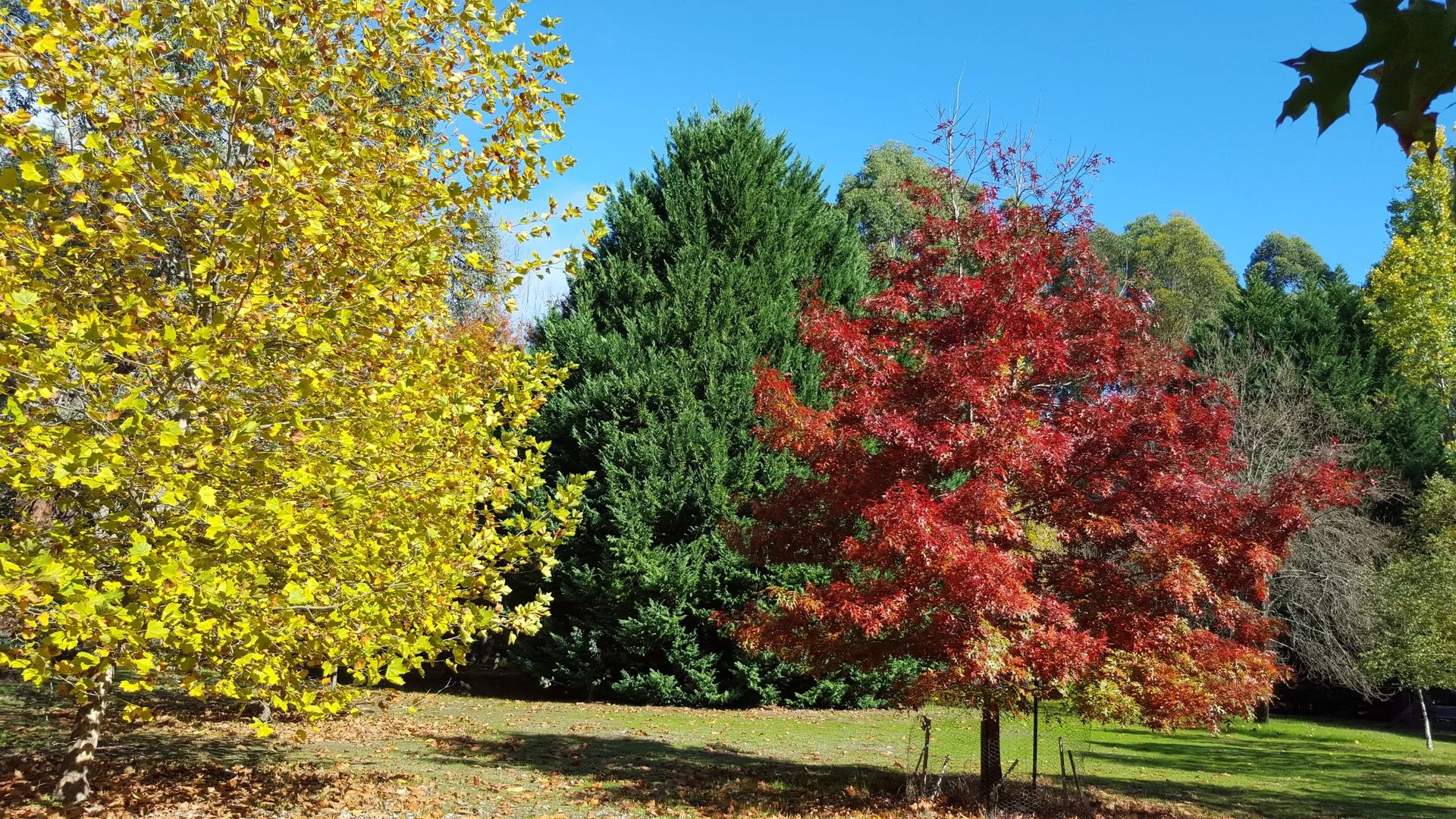 Additional image 17 of 2526 Nannup Balingup Road, Nannup WA 6275