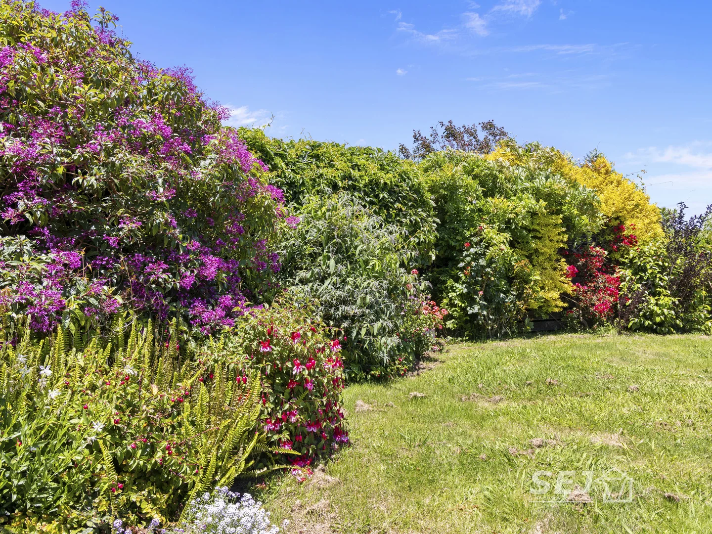 Additional image 9 of 155 Coulters Road, Mardan VIC 3953