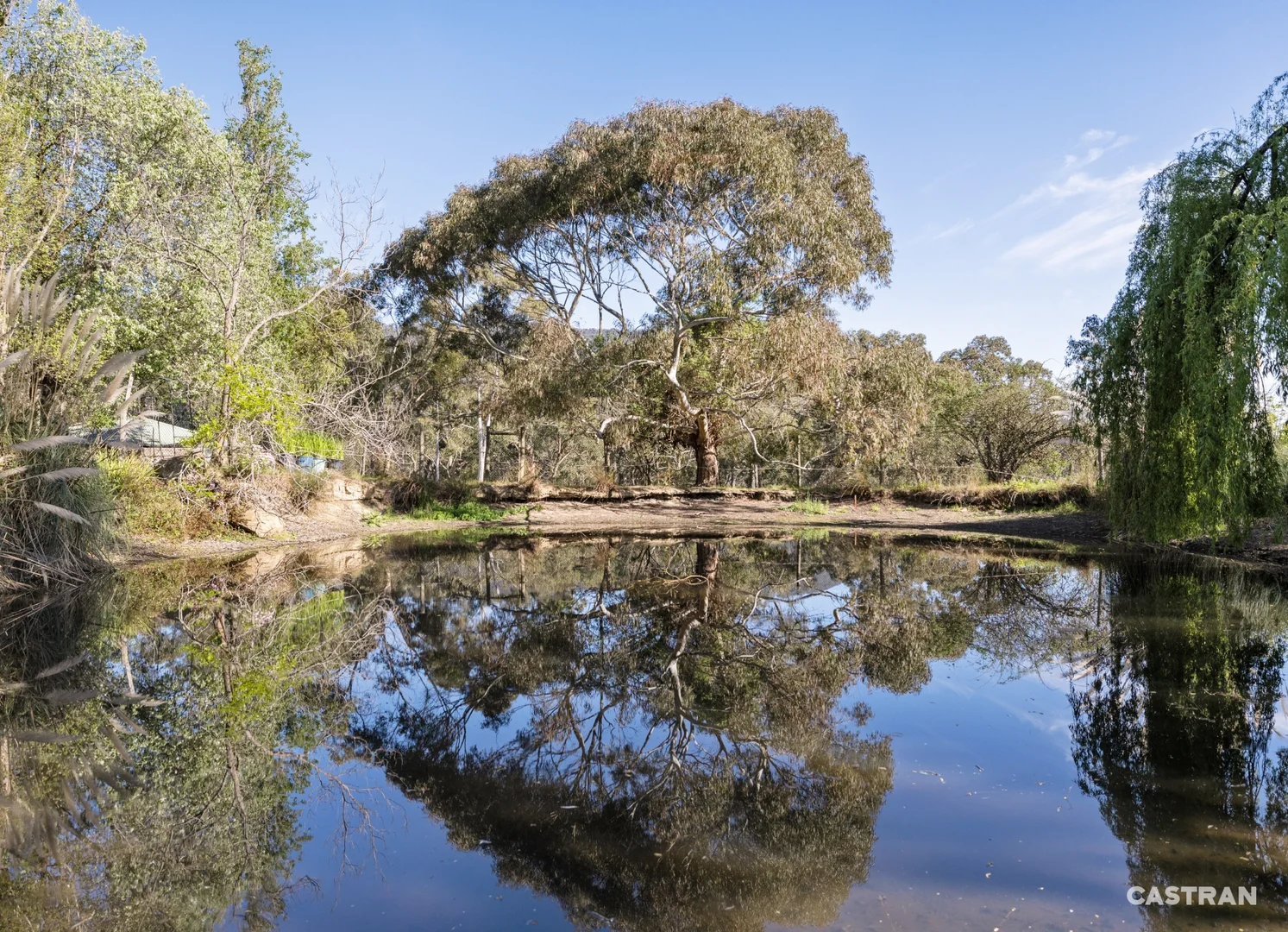 Additional image 31 of 125 Swansea Road, Montrose VIC 3765