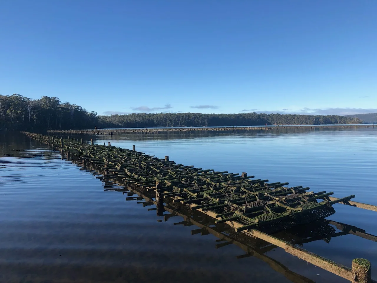 Additional image 11 of 100 Cockle Creek Road, Recherche TAS 7109