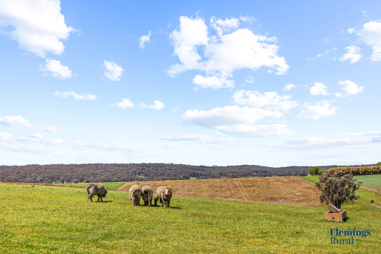 Additional image 9 of 105 Peakview Road, Young NSW 2594