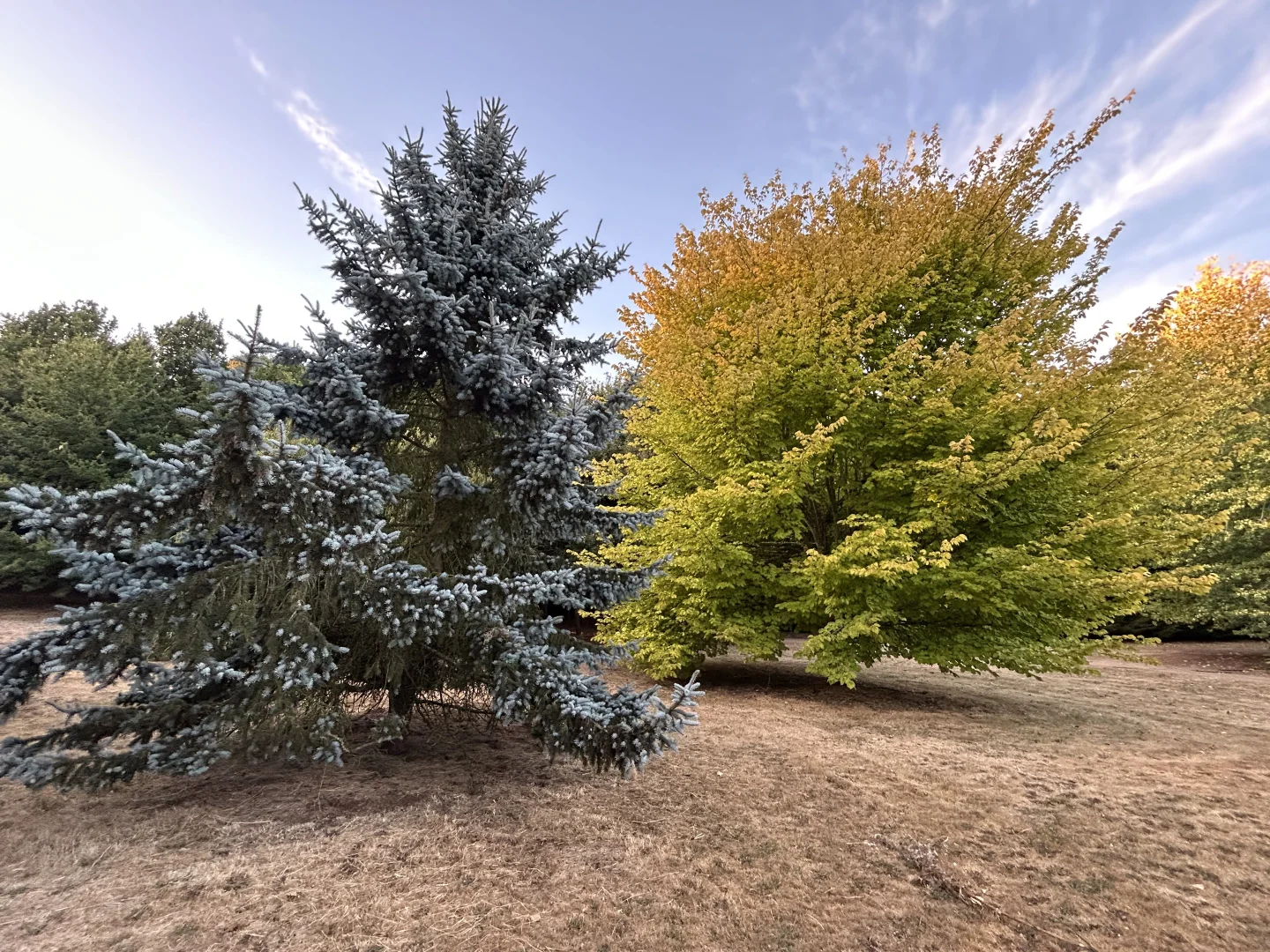 Additional image 21 of 640 James Lane, Trentham East VIC 3458