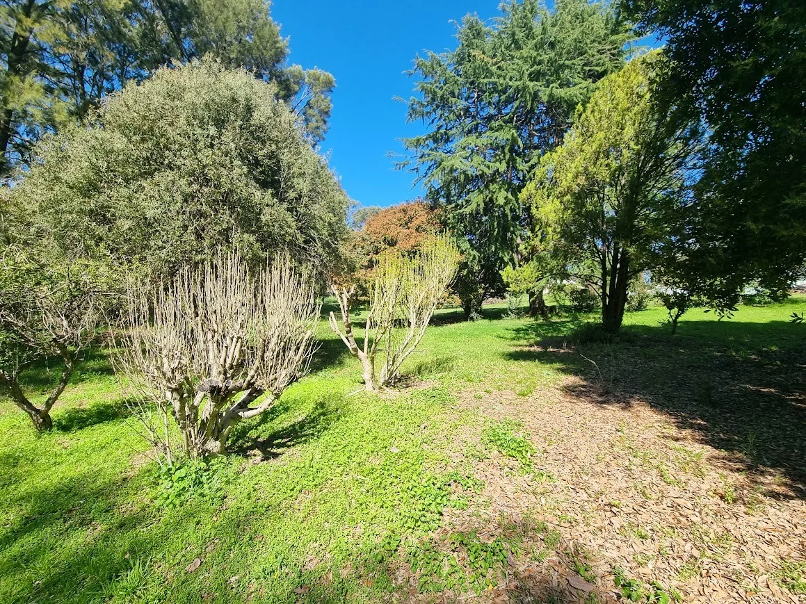Additional image 17 of 1924 Adelong Road, Tumblong NSW 2729