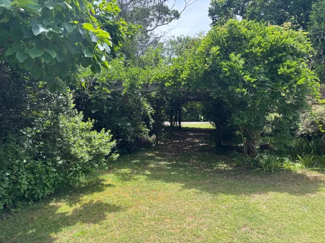 Additional image 33 of 11 Weemala Crescent, Bawley Point NSW 2539