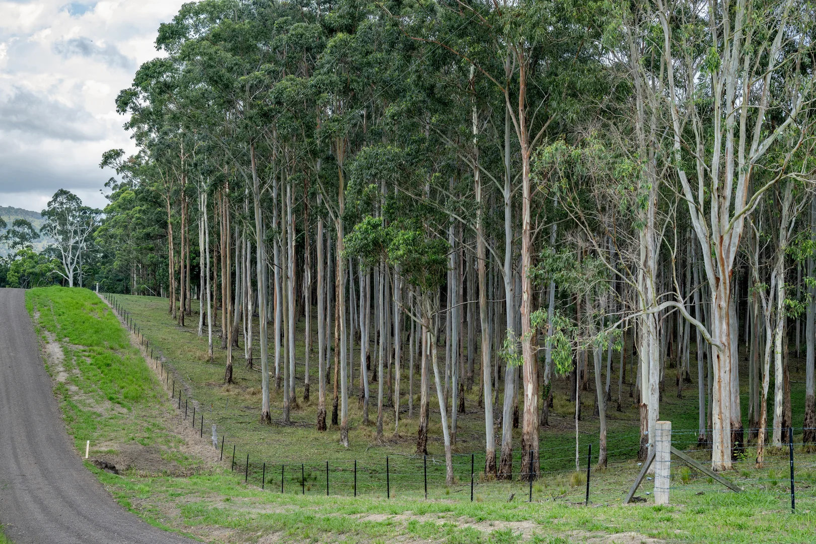 Additional image 26 of 239 Parsons Road, Coondoo QLD 4570