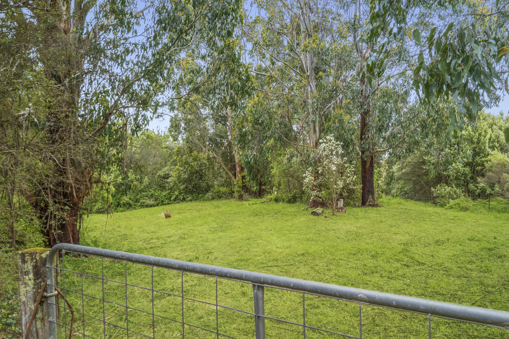 Additional image 5 of 170 Blue Johanna Road, Johanna VIC 3238