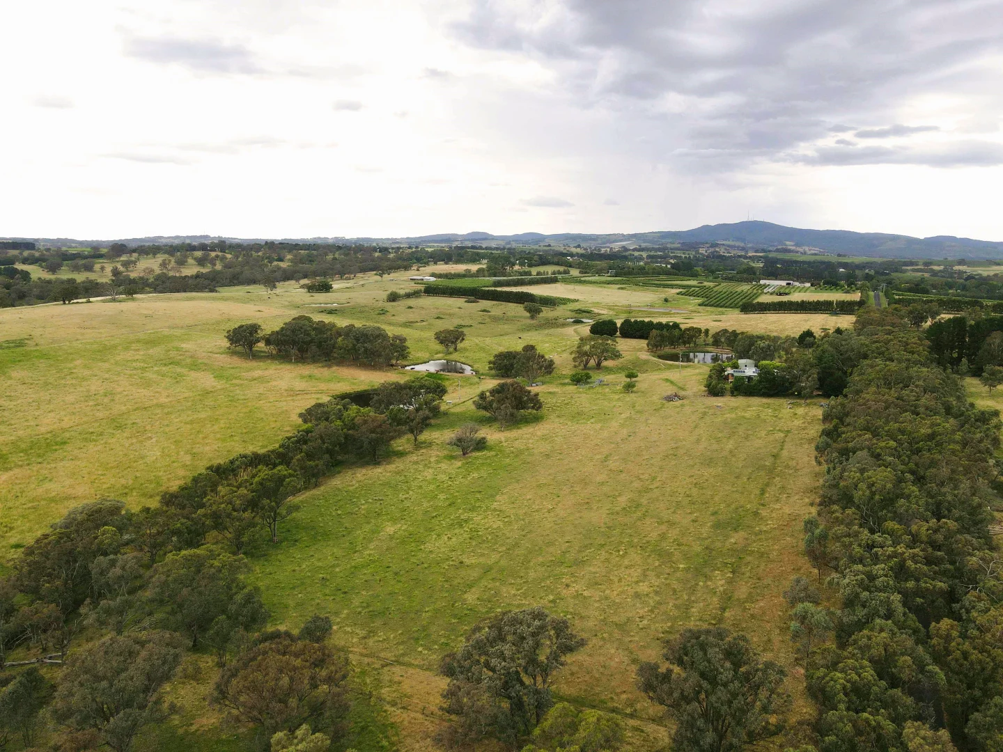 Additional image 29 of "Abbyville" 90 Convent Lane, Borenore NSW 2800