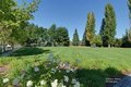 Additional image 43 of 7521 Troon Ct, Gilroy, CA, 95020
