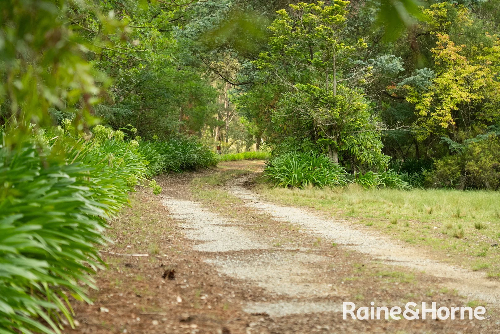 Additional image 45 of 5053 Castlereagh Highway Round Swamp Via, Capertee NSW 2846