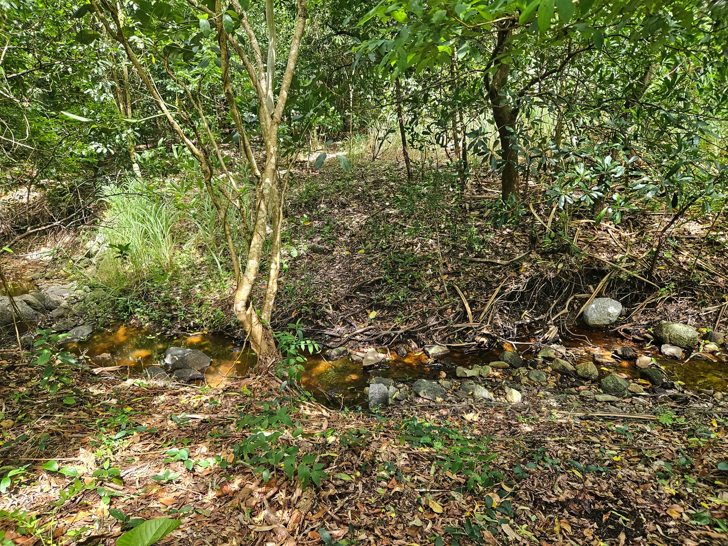 Additional image 5 of 6 Milman Street, Cooktown QLD 4895