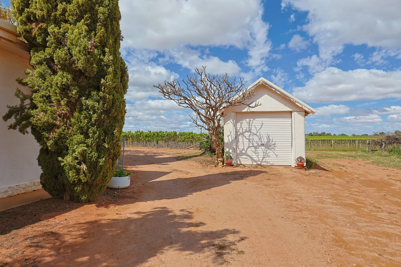 Additional image 18 of 77 Milpara Road, Coomealla NSW 2717