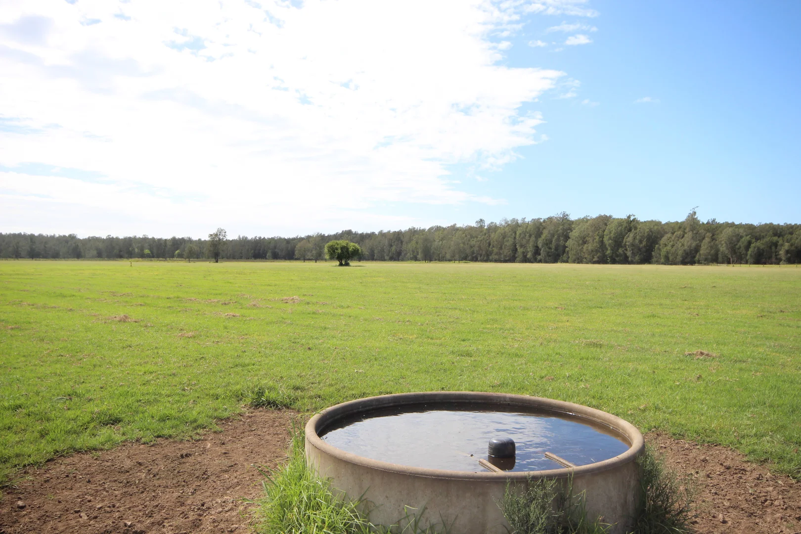 Additional image 17 of 256 Hacks Ferry Road, Hacks Ferry NSW 2441