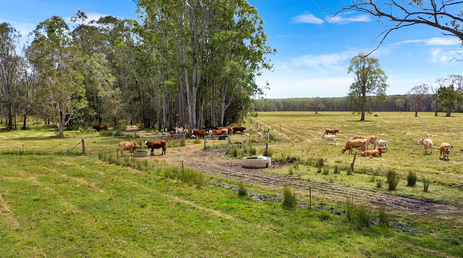 Additional image 29 of 769 Lagoon Road, West Coraki NSW 2471