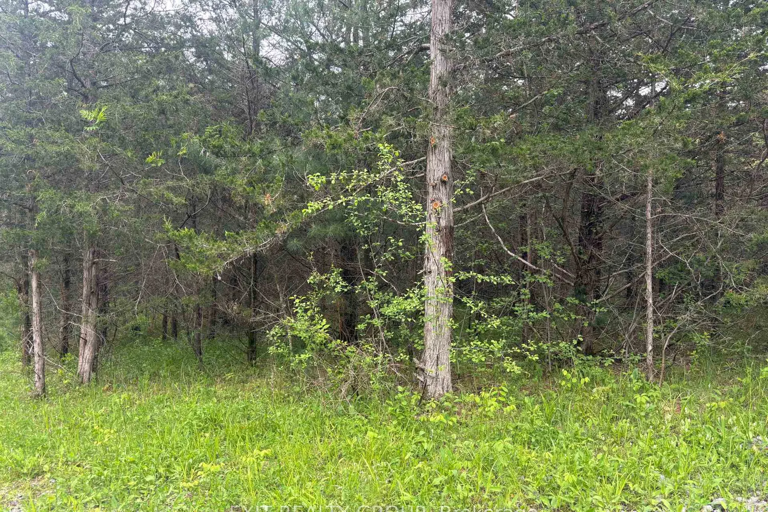 Additional image 3 of 262 Johnston Road