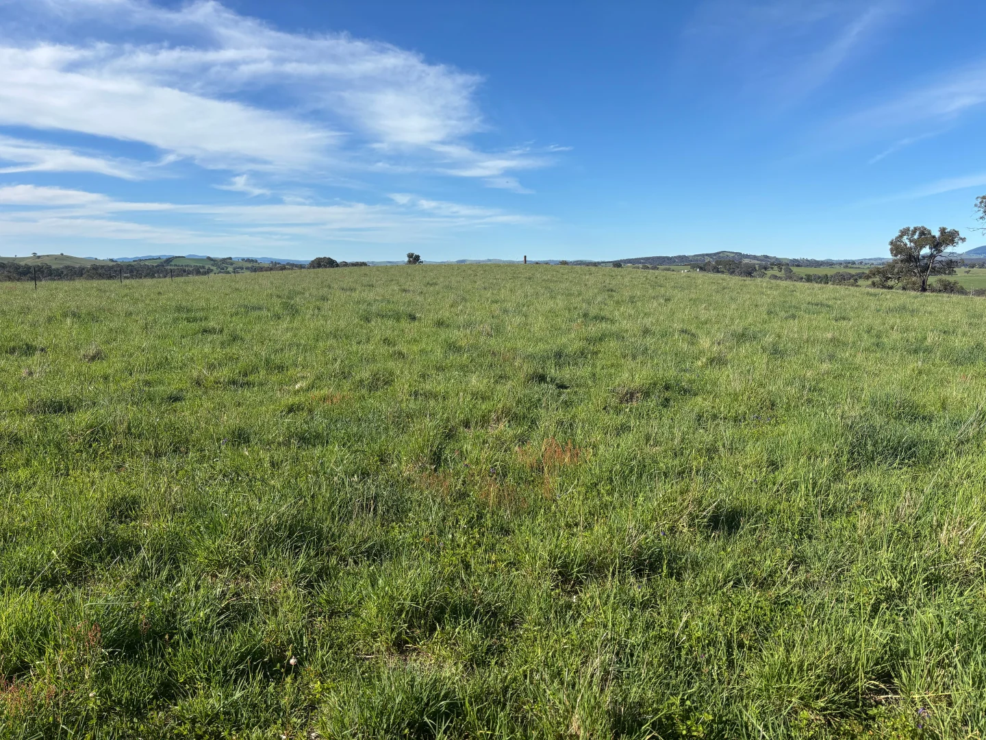 Additional image 27 of 1050 Garland Road, Garland NSW 2797