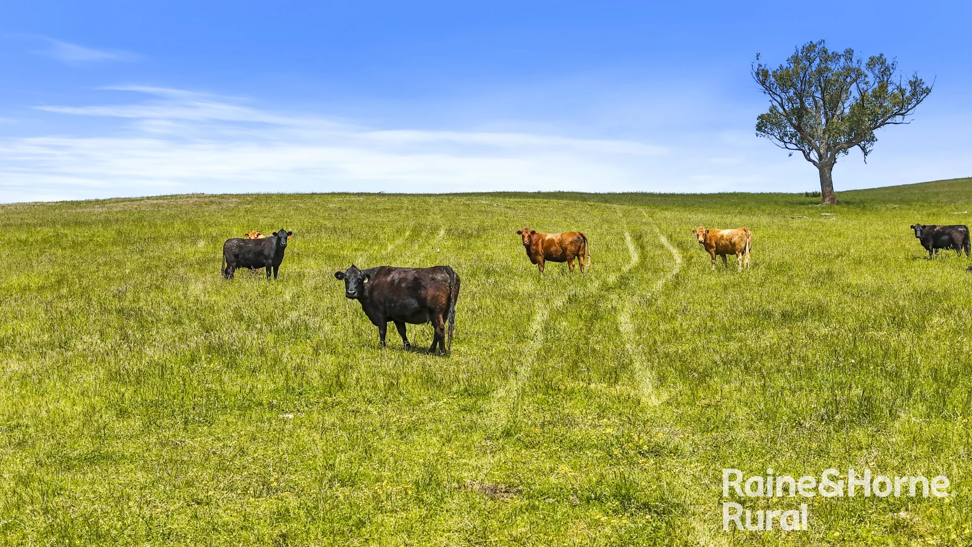 Additional image 18 of 83 Cressbrook Road, Hindmarsh Valley SA 5211