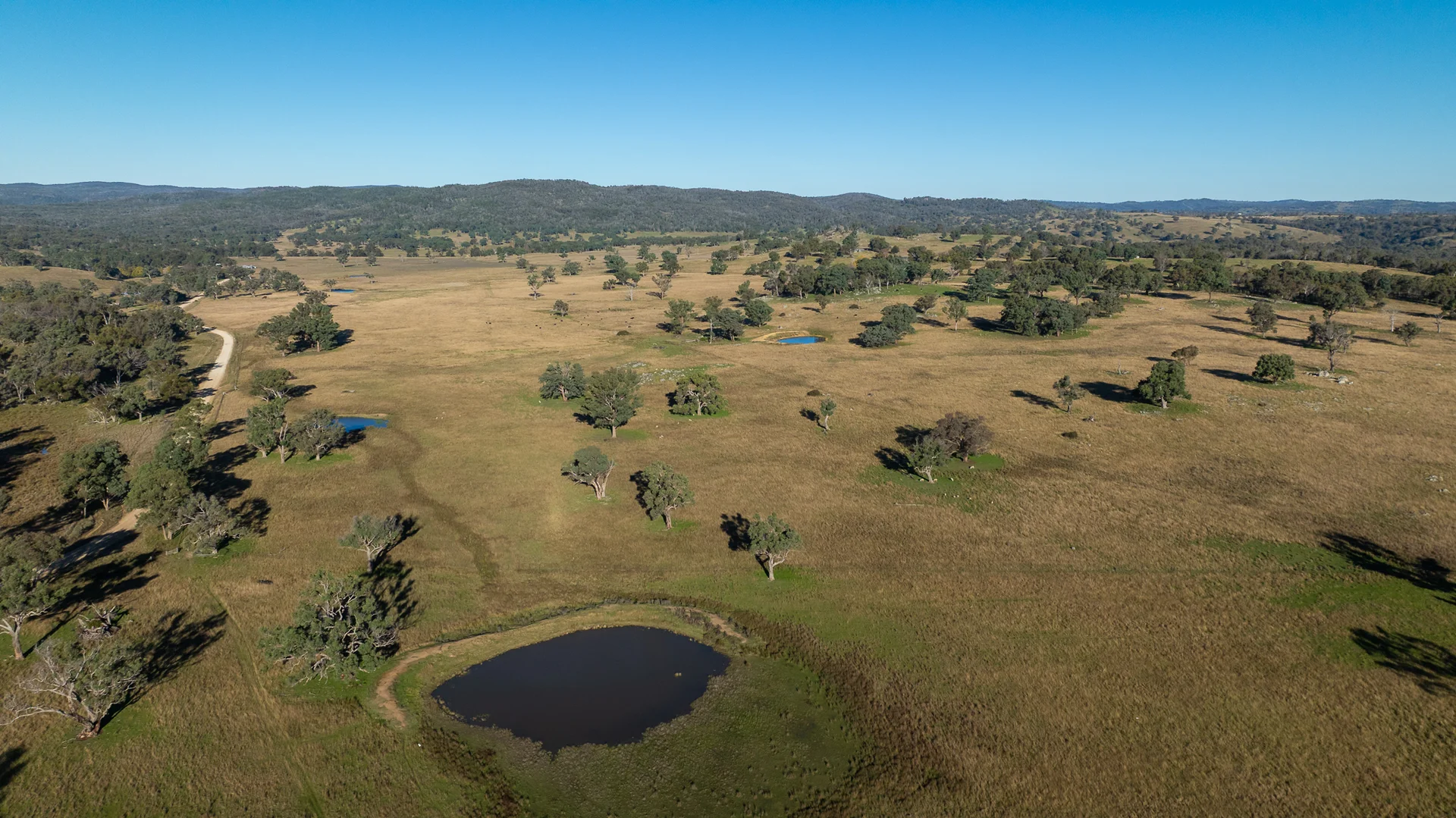 Additional image 15 of 3158 Baldersleigh Road, Guyra NSW 2365