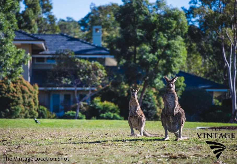 Additional image 26 of 7 Fig Tree Crescent, Pokolbin NSW 2320