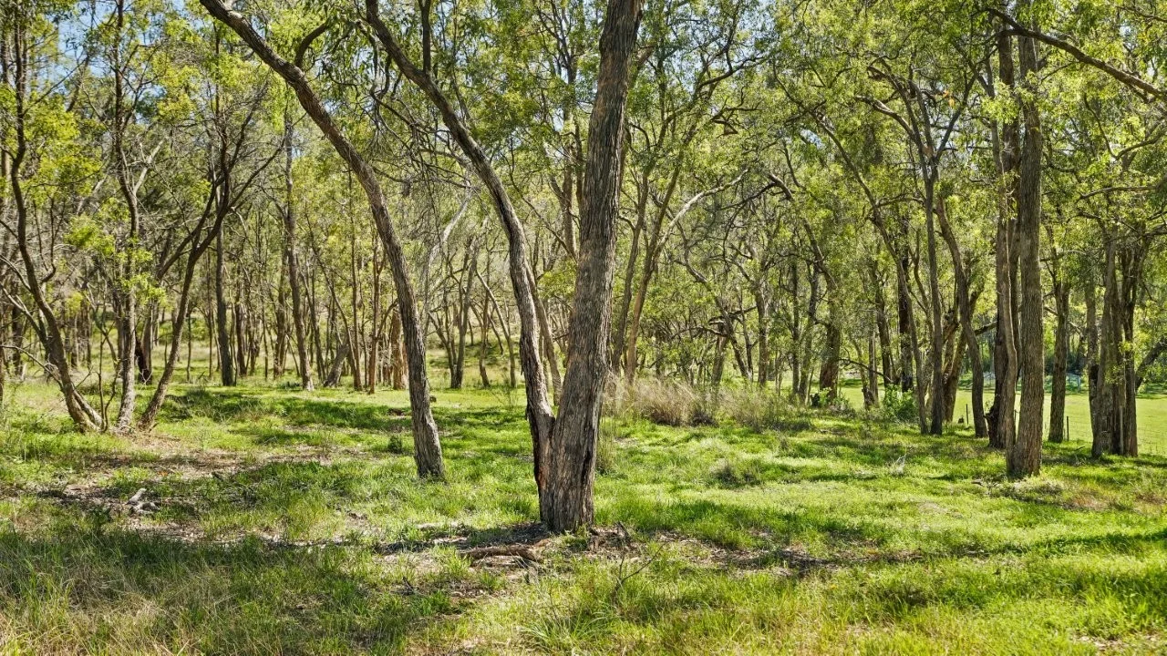 Additional image 39 of 702 Timor Road, Coonabarabran NSW 2357